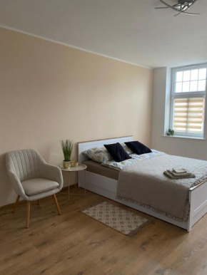 City Lights Apartment in Barlinek